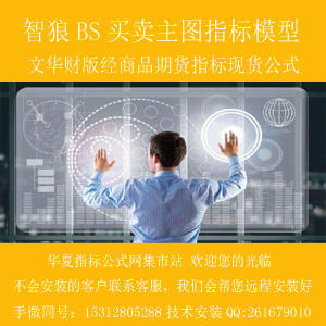 a.文华期货模版智狼BS买卖主图 300x300 田氏字体.jpg