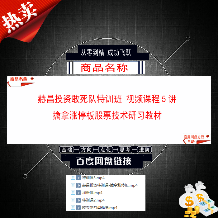 762.百度网盘提取 赫昌投资敢死队特训班视频课程5讲 擒拿涨停板股票技术研习教材