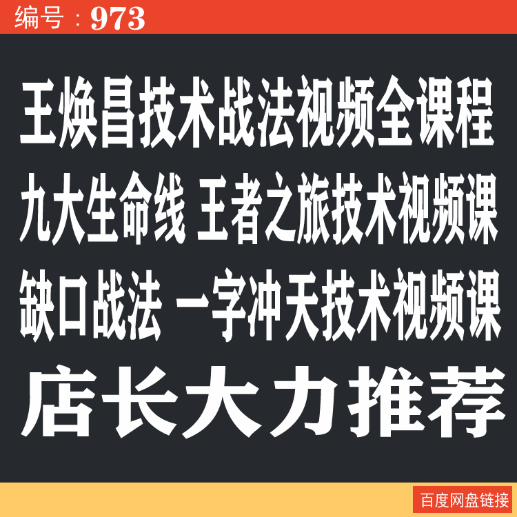 973.百度网盘提取 王焕昌技术战法视频全课程 九大生命线 王者之旅缺口战法一字冲天技术视频课